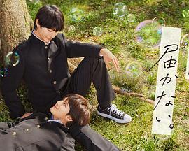 神马视频高清在线www海报剧照